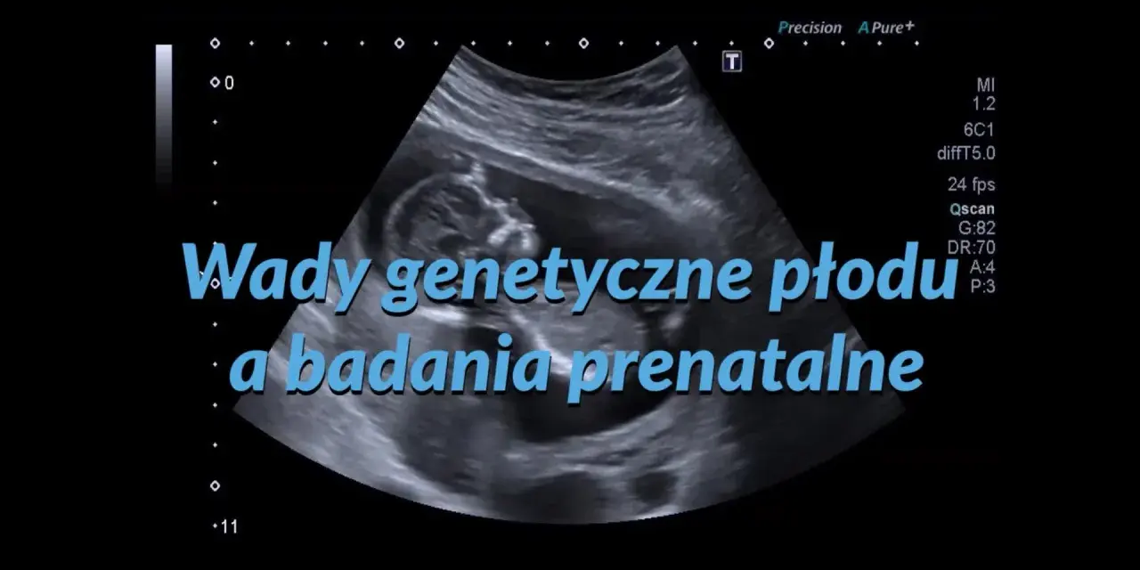 Badanie USG płodu, na którym widać plecy dziecka. Tekst: "Wady genetyczne płodu a badania prenatalne".