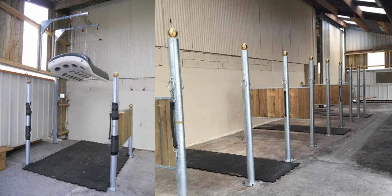 Aménagement d'une **dimension aire de pansage chevaux** avec tapis antidérapants et poteaux de contention. Un système de levage est visible.