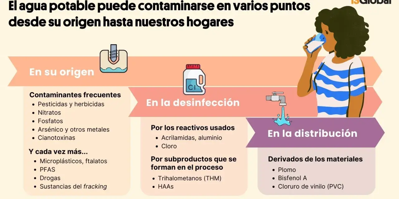 Infografía sobre los principales contaminantes del agua: origen, desinfección y distribución. Incluye pesticidas, metales, microplásticos, cloro y plomo.