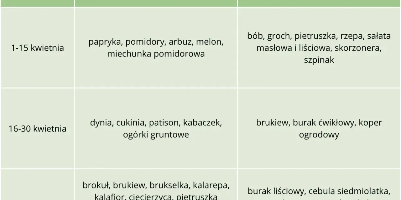 Tabela podpowiada, co siać w kwietniu do gruntu: bób, groch, rzepę, sałatę, szpinak (1-15 kwietnia), brukiew, buraka, koper (16-30 kwietnia) i wiele innych warzyw przez cały miesiąc.