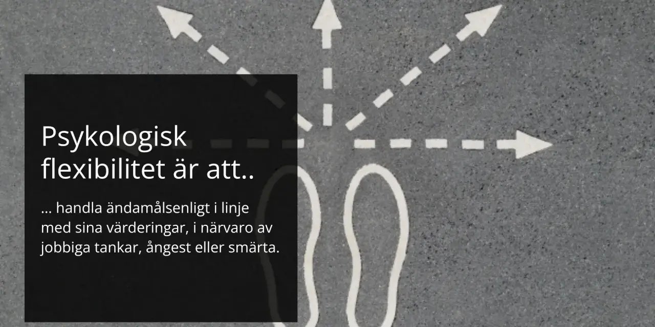 Psykologisk flexibilitet är att agera i linje med värderingar, trots jobbiga tankar. Bilden visar pilar som symboliserar valmöjligheter.