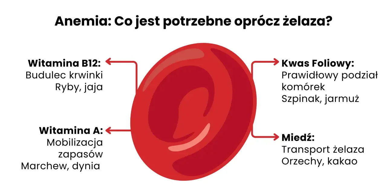 Anemia: co jeść przy anemii? Witamina B12, kwas foliowy, witamina A i miedź wspierają produkcję krwinek.