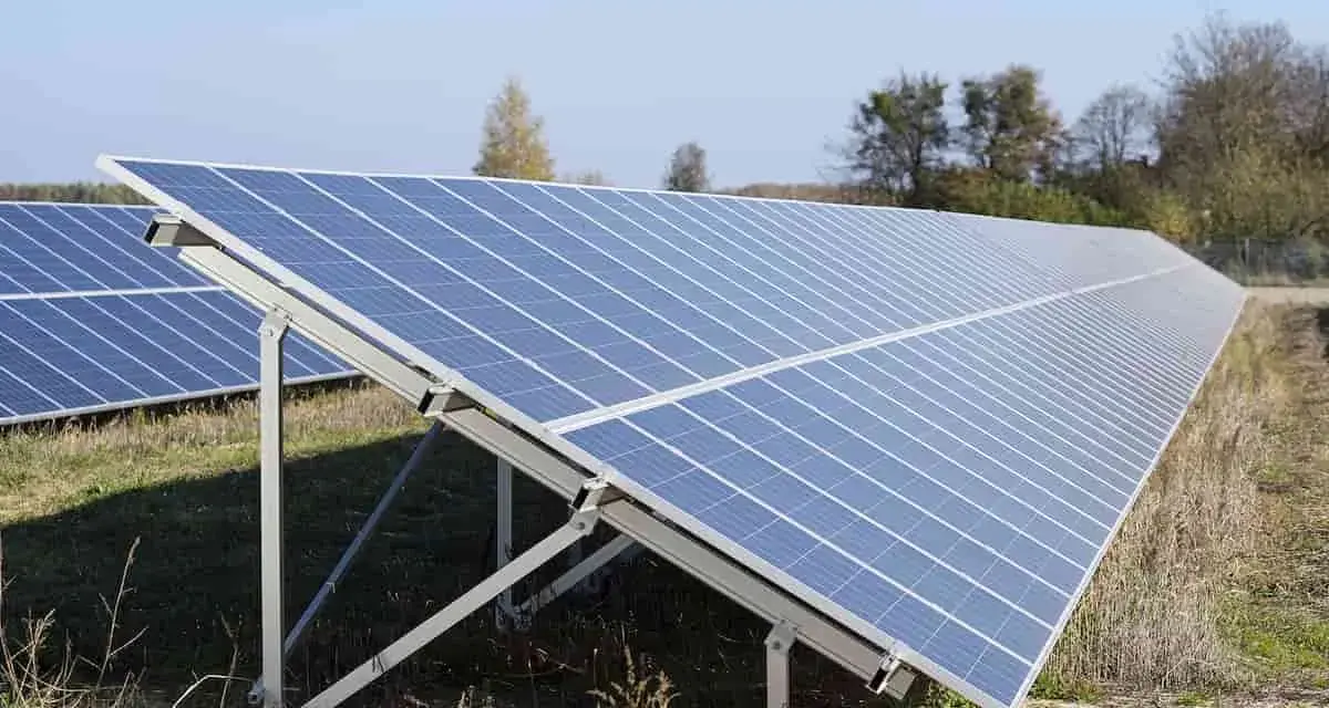 Duża instalacja PV na polu, panele słoneczne ustawione pod kątem, w tle drzewa i błękitne niebo.