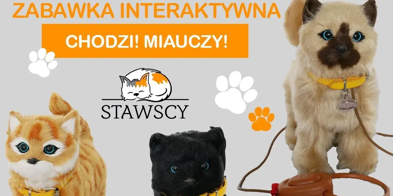 Gdzie kotek ma? Odkryj radość i zabawę w tej interaktywnej książce