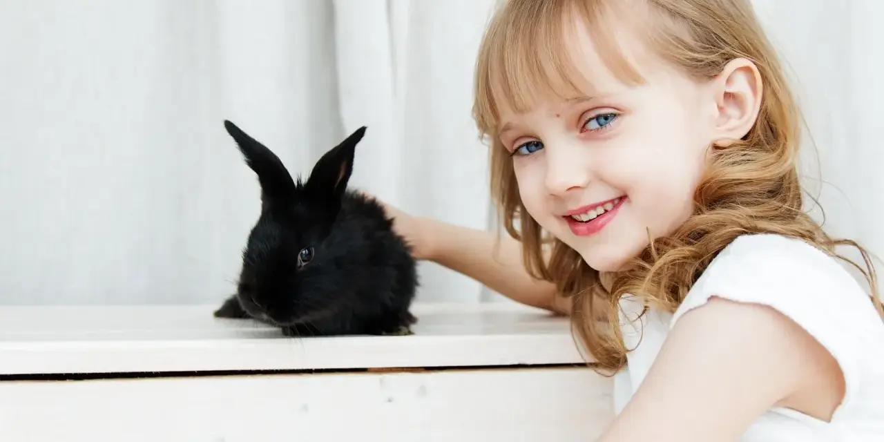 Uśmiechnięta dziewczynka z niebieskimi oczami głaszcze czarnego królika. Który ssak się nie poci? Królik, jak każdy ssak, poci się, ale inaczej niż ludzie.
