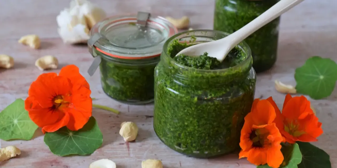 Frisches Kapuzinerkresse Pesto in Gläsern, umgeben von Kapuzinerkresseblüten, Cashewkernen und Knoblauch.