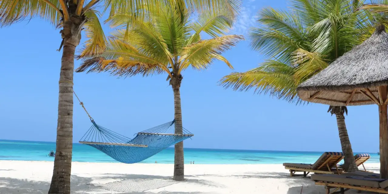 Błękitna hamak między palmami na piaszczystej plaży, z leżakami i oceanem w tle. Idealne miejsce na relaks w Zanzibarze.