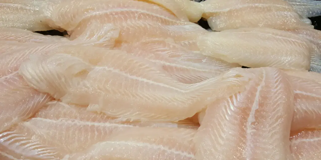Panga i tilapia: Czy warto je jeść? Ryzyko i zdrowe wybory