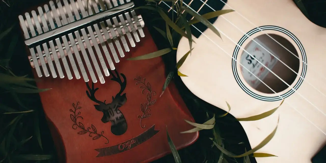Kalimba 17 blaszek jak grać? Instrumenty muzyczne leżą wśród zieleni.