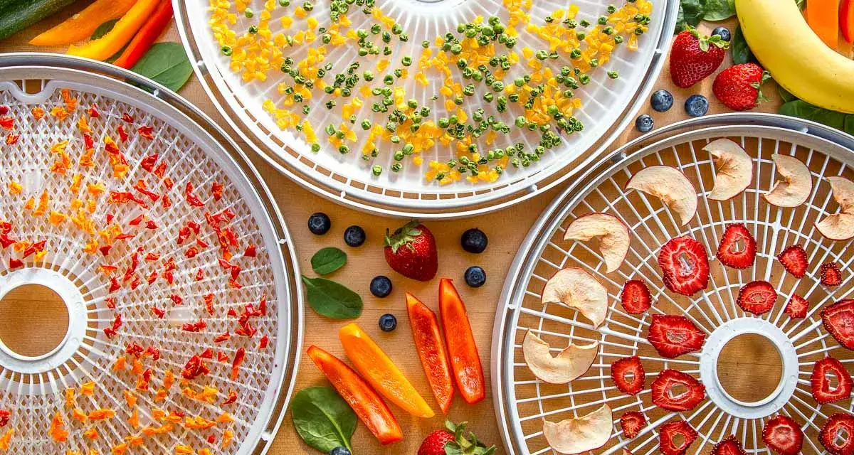 Dehydrating food for backpacking: trays filled with dried peppers, corn, apples, and strawberries, surrounded by fresh produce.