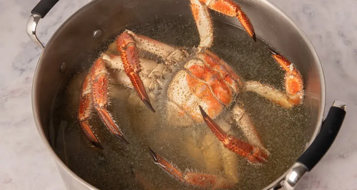 Buey de mar cocinándose en una olla grande con agua hirviendo.