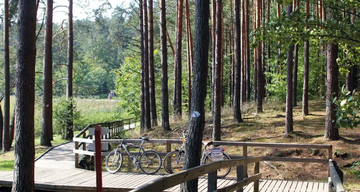 Dwie rowery czekają na przygodę na drewnianej kładce. Trasa rowerowa Roztocze zaprasza do odkrywania leśnych zakątków.