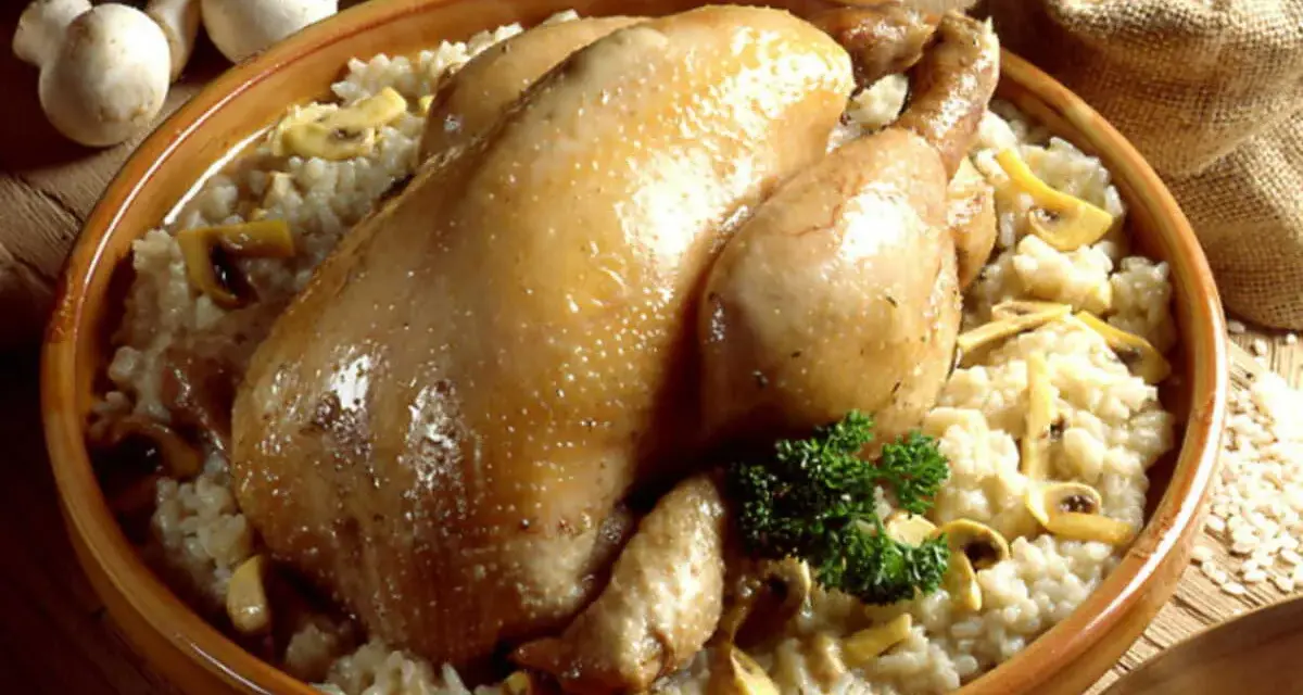 Un plat réconfortant de poule au riz crémeux, garni de champignons et d'une touche de persil frais.
