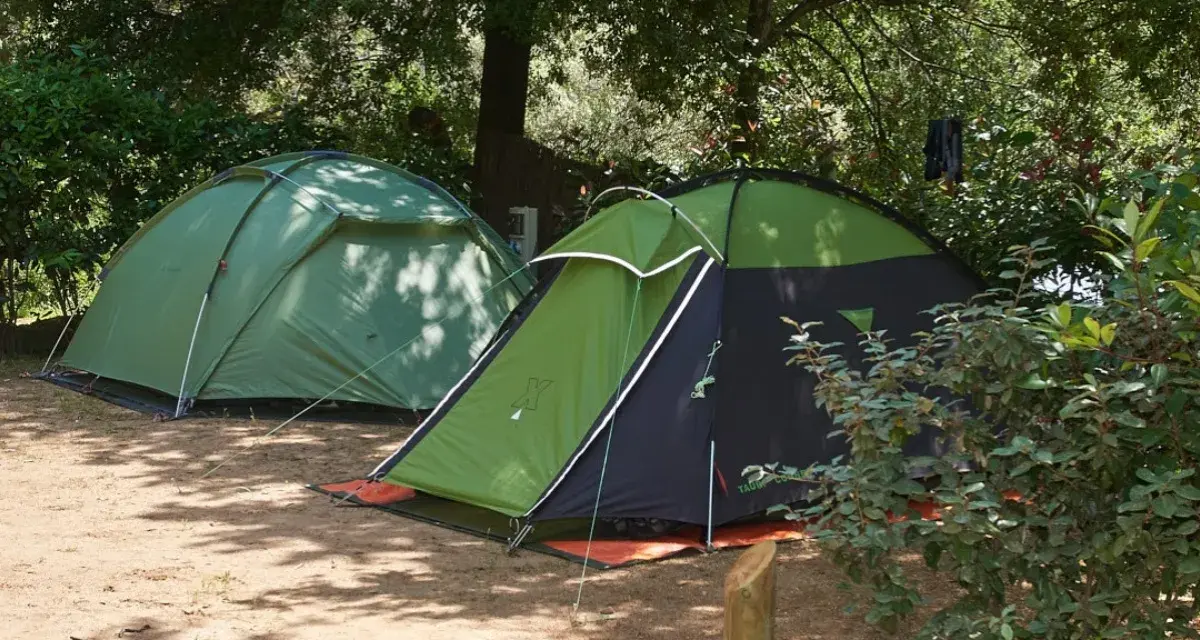 Dwie zielone namioty na piaszczystym podłożu, otoczone drzewami. Idealne miejsce na korsyka camping.