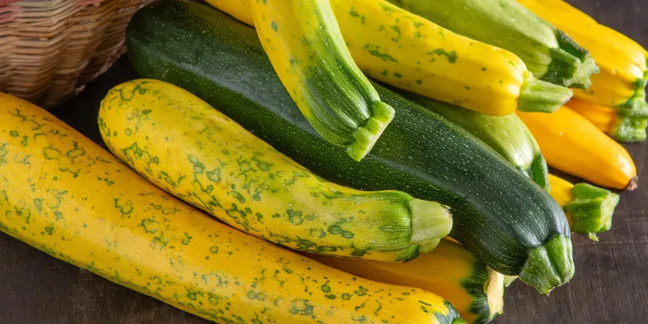 Frische, bunte Zucchini liegen neben einem Korb. Perfekt, um sie roh zu essen und den Sommer zu genießen.