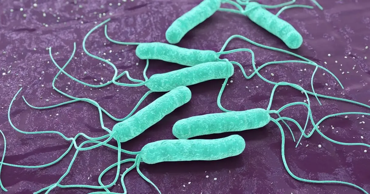 Helicobacter pylori w ustach: 7 objawów, których nie znasz