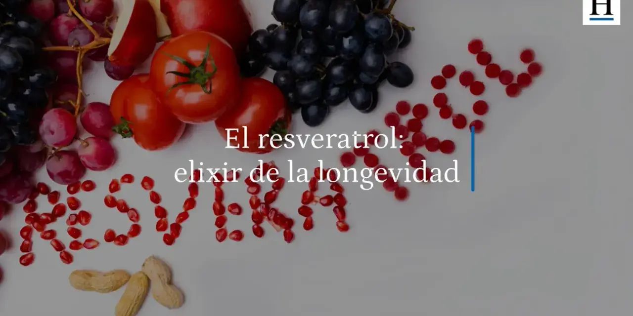 Uvas, tomates, arándanos y granadas forman la palabra "Resveratrol", destacando alimentos con resveratrol, el elixir de la longevidad.