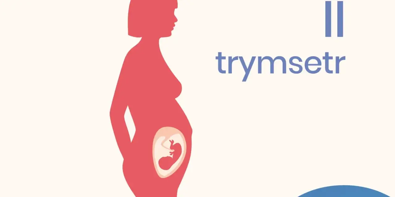 Sylwetka kobiety w ciąży z widocznym płodem. Napis "II trymestr" informuje o tym etapie.