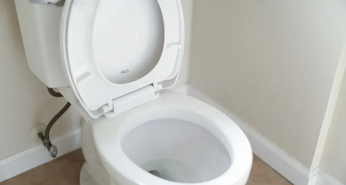 En vit toalett med öppet lock. Dags att rensa avlopp toalett för att undvika problem.