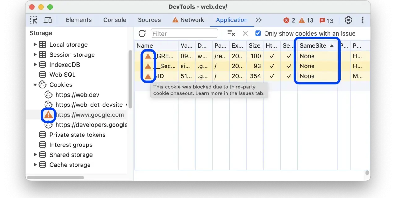 W panelu "Application" widać, że pliki cookie dla google.com są zablokowane. Aby włączyć pliki cookie w Google, sprawdź ustawienia przeglądarki.