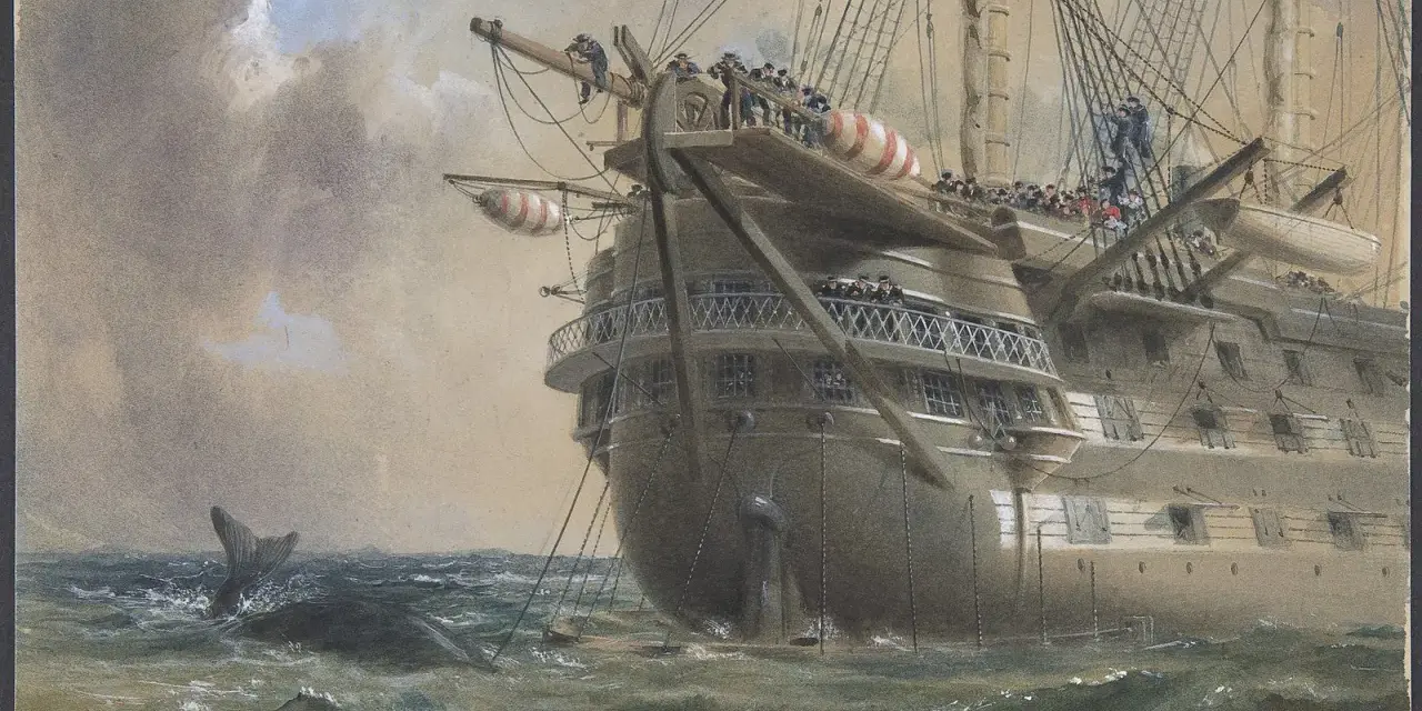 Un navire historique, peut-être celui du premier câble transatlantique, navigue en mer. Une baleine surgit des vagues.