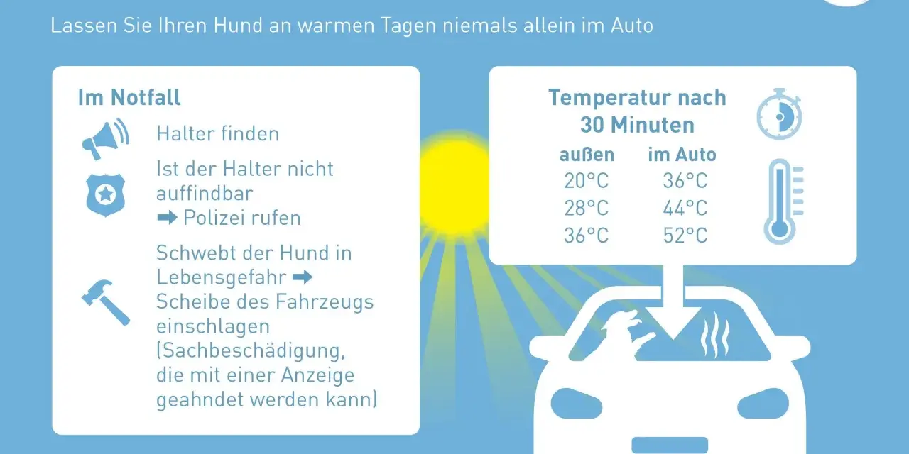 Hunde sterben in heißen Autos. Lassen Sie Ihren Hund niemals allein im Auto. Die Temperatur steigt schnell an und wird zur tödlichen Gefahr.