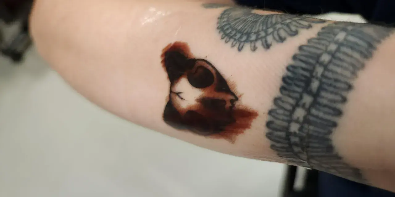 Świeża tatuażowa "second skin" na przedramieniu, z widocznym konturem głowy kota i innymi tatuażami.
