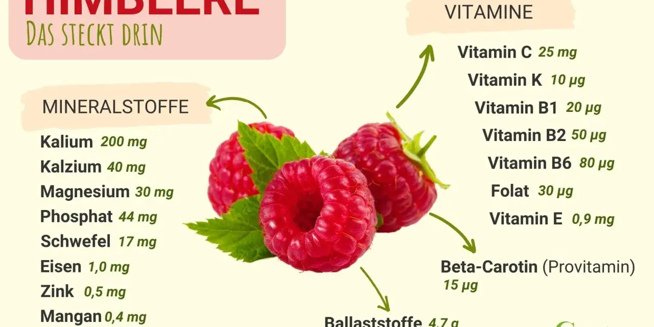 Himbeeren sind gesund! Sie enthalten viele Vitamine wie C, B1, B2, B6, Folat, E und Beta-Carotin, sowie Mineralstoffe und Ballaststoffe.