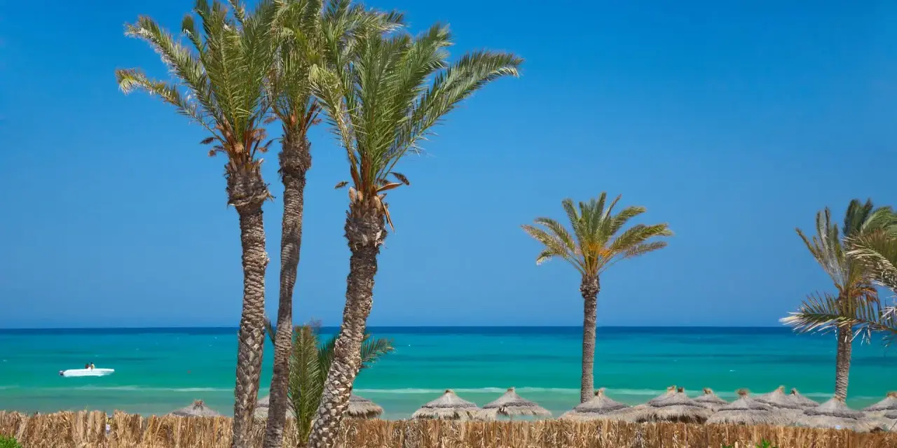 Palmy nad turkusowym morzem, idealna pogoda Djerba. Słoneczny dzień na plaży z łódką na wodzie.