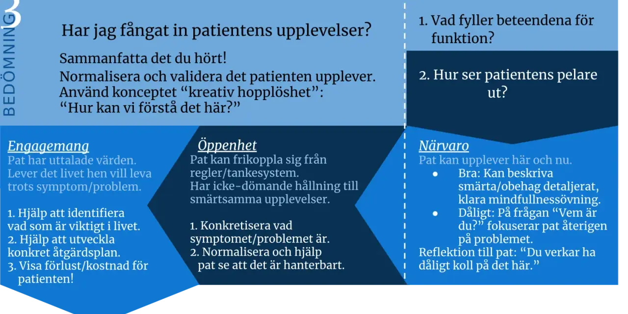 Bedömning av patientens upplevelser: Engagemang, öppenhet och närvaro. Fokus på att förstå och validera patientens situation, med en fokuserad act för att hantera problem.