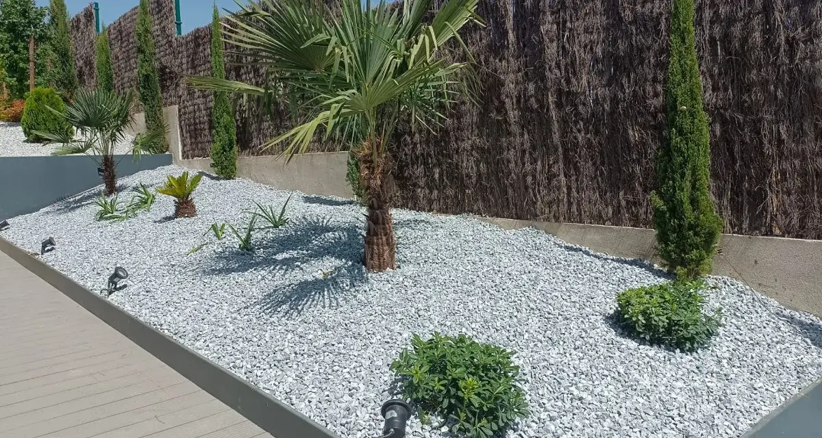 Jardines modernos con césped artificial y piedras blancas, palmeras, cipreses y plantas suculentas.