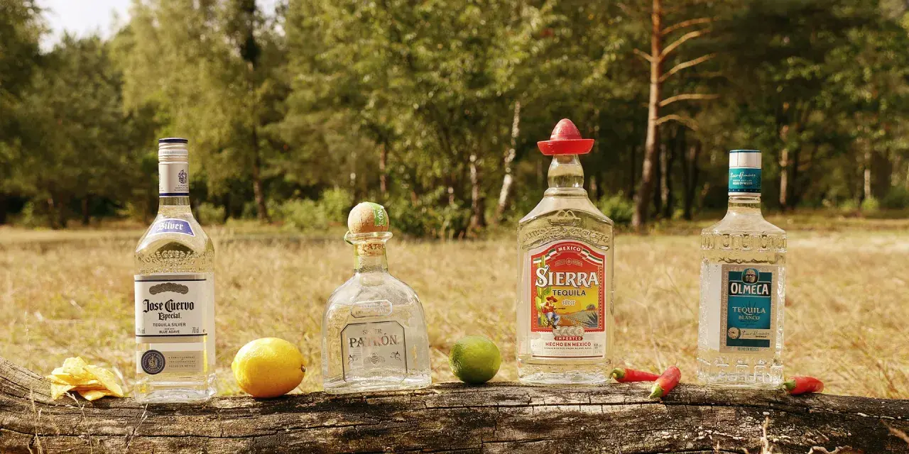 Vier Flaschen Tequila, darunter Jose Cuervo Especial Silver, Sierra Tequila Silver und Olmeca Tequila Blanco, liegen auf einem Baumstamm. Ein Zitronen- und ein Limettenstück sowie Chilis und Tortilla-Chips vervollständigen das Bild. Ob Tequila gold ode...