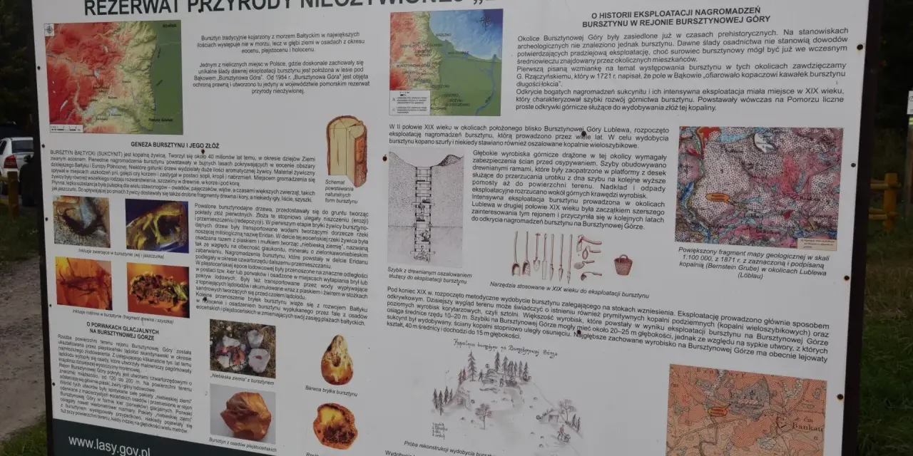 Rezerwat przyrody "Bursztynowa Góra" to miejsce, gdzie można podziwiać ślady dawnej eksploatacji bursztynu.
