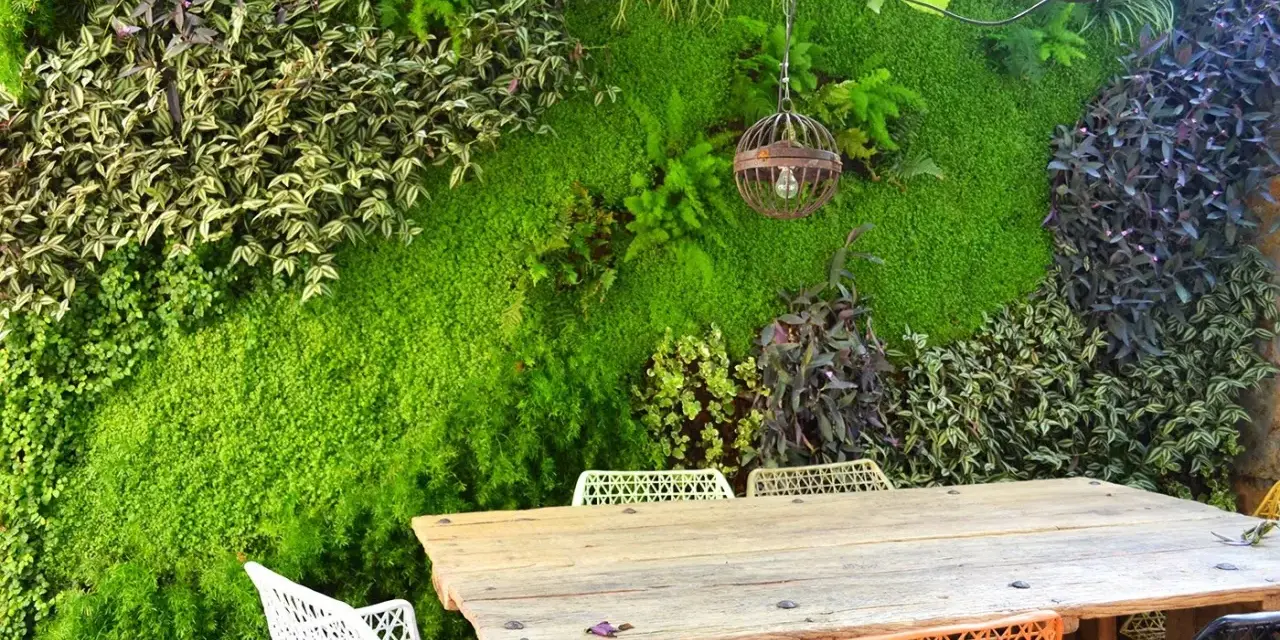 Un jardín vertical exuberante, con un diseño que recuerda al moss graffiti, crea un telón de fondo natural para una mesa de madera y sillas coloridas.