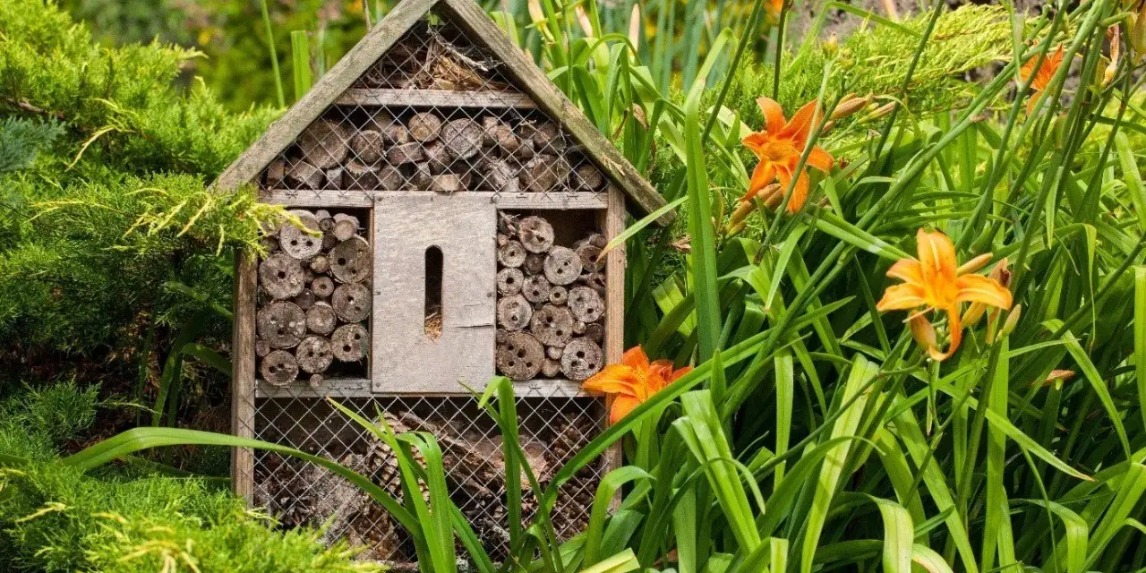Ett insektshotell i trä, fyllt med träbitar och bamburör, står i en lummig trädgård bland gröna blad och orange liljor. En perfekt insektshotell placering för att locka pollinerare.