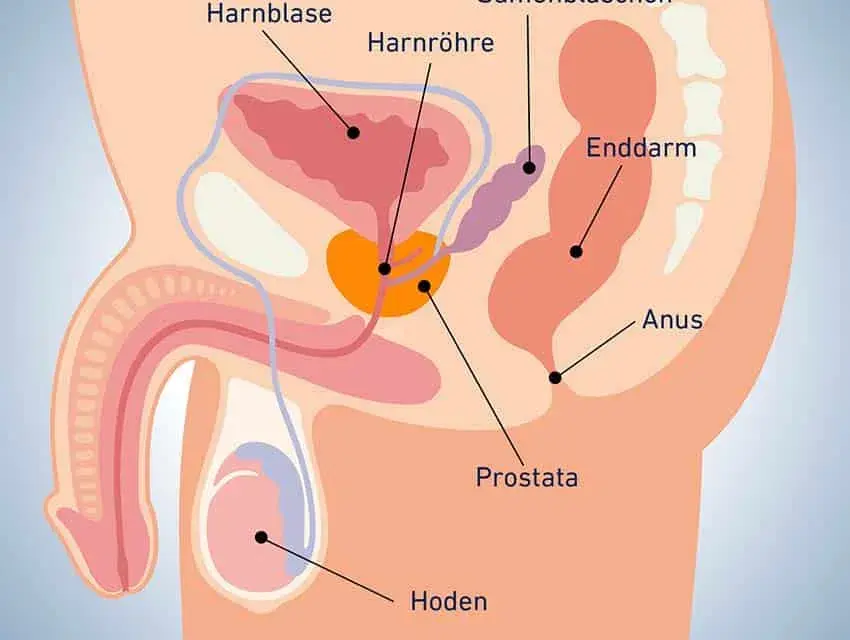 Medikamente Prostata: Effektive Lösungen zur Linderung von BPH-Beschwerden