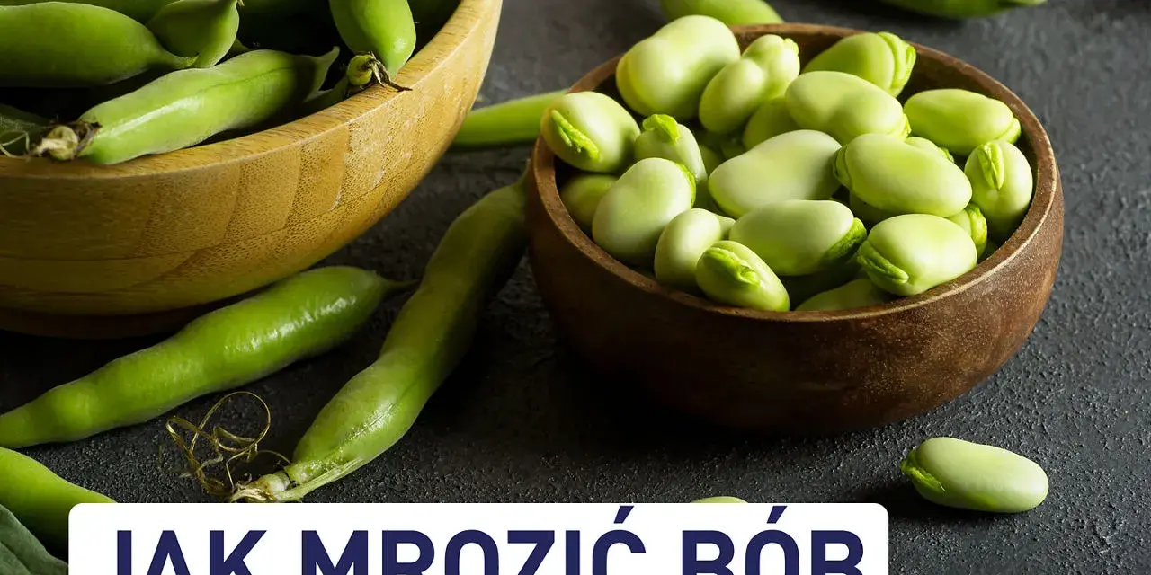 Świeży bób w łupinach i wydłubane ziarna w miseczkach. Dowiedz się, czy bób można mrozić, by cieszyć się nim dłużej.
