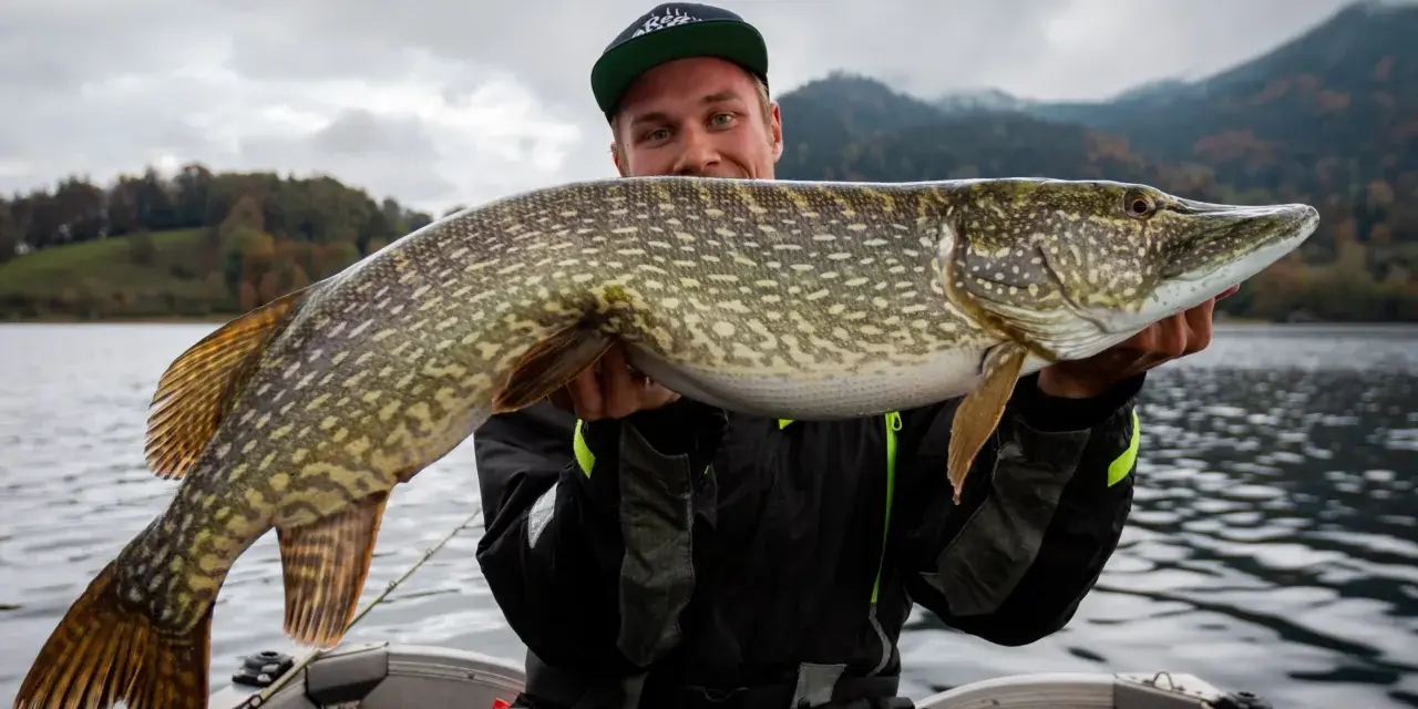 Glücklicher Angler hält stolz einen großen Hecht im Boot. Ein erfolgreicher Tag auf Hecht angeln!
