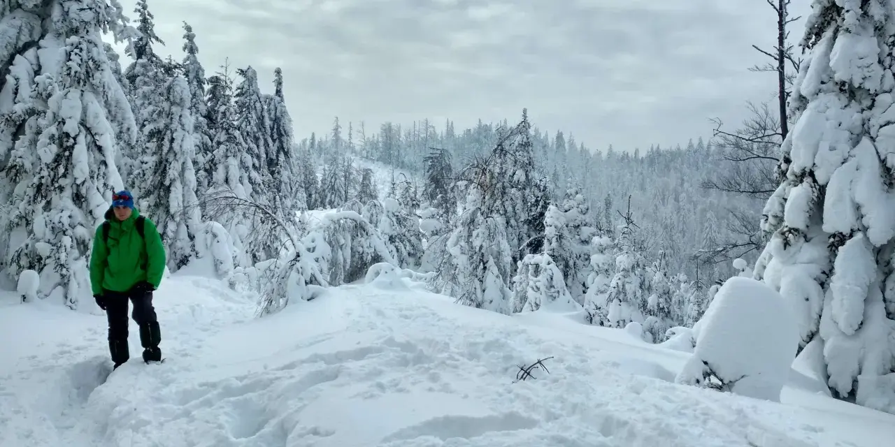 Chłopiec w zielonej kurtce przemierza zasypany śniegiem Beskid Mały. Drzewa pokryte grubą warstwą puchu tworzą zimowy krajobraz.