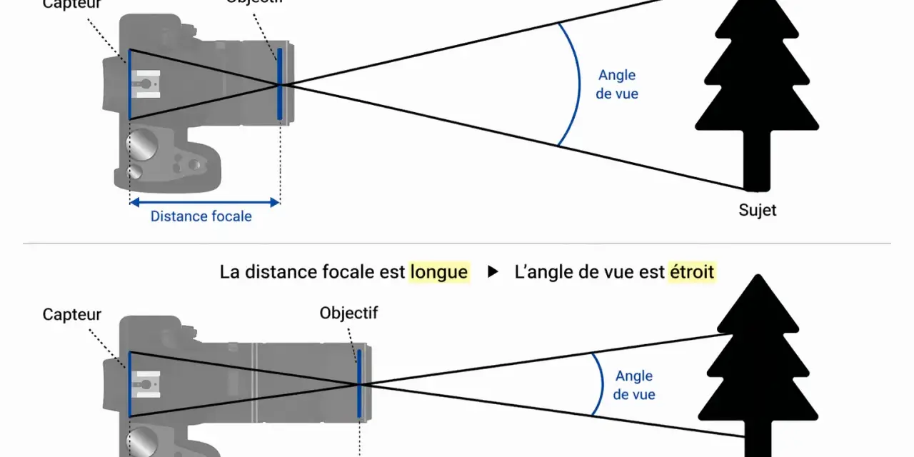 Comparaison de la distance focale et de l'angle de vue. Une courte distance focale donne un large angle de vue, tandis qu'une longue distance focale réduit l'angle de vue, un peu comme un crop factor.