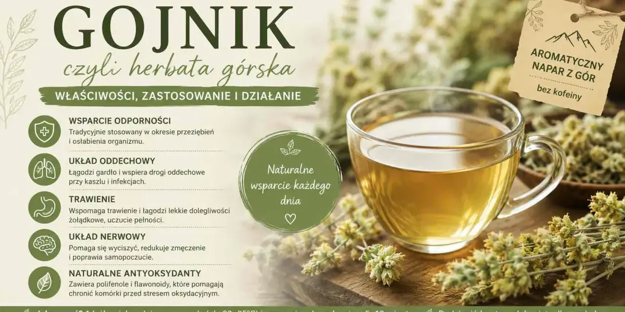 Gojnik, czyli herbata górska, pomaga na odporność, układ oddechowy, trawienie i nerwy. To naturalne wsparcie każdego dnia.