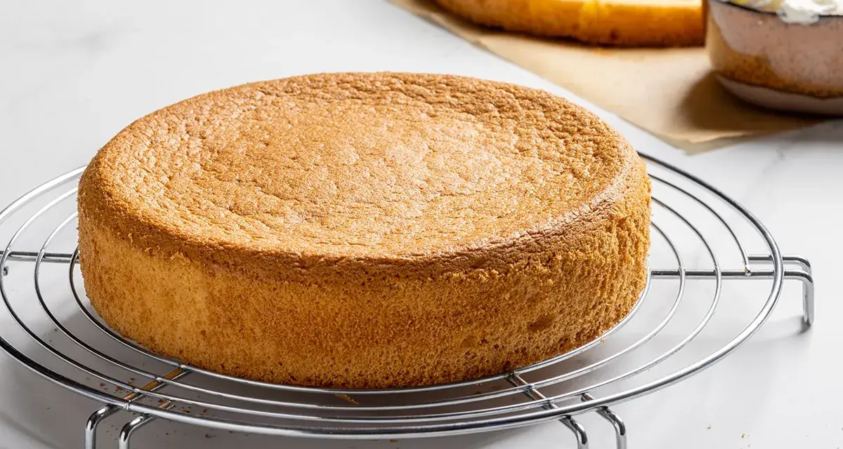 Un pan di spagna sofficissimo, dorato e invitante, pronto per essere farcito.