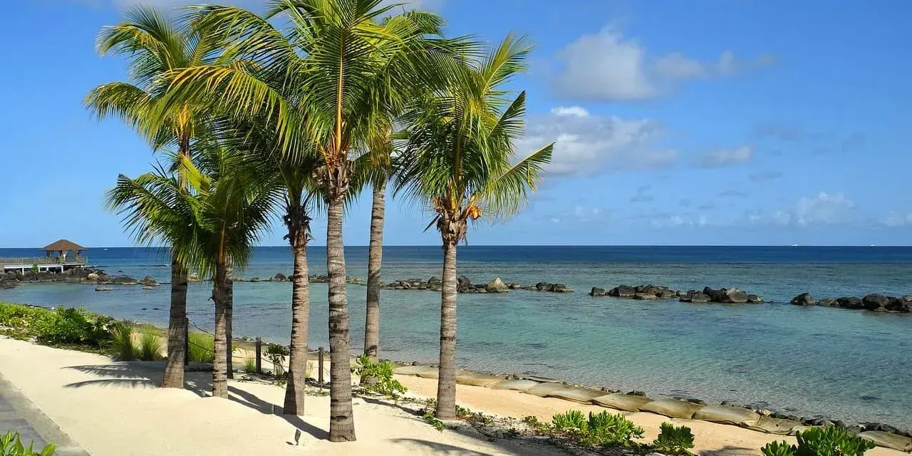 Rajskie plaże Mauritiusa z palmami kołyszącymi się na wietrze i turkusową wodą.