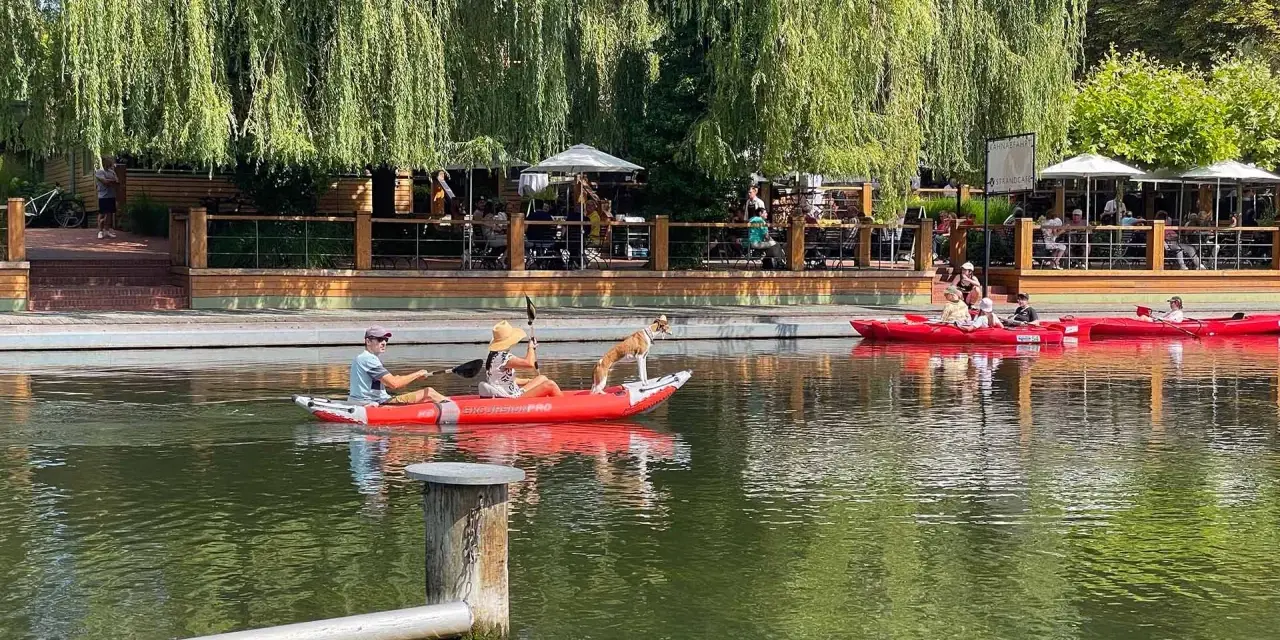 Ein Hund steht auf einem Kajak am Neuendorfer See, während Menschen im Wasser paddeln. Im Hintergrund eine Terrasse mit Gästen.