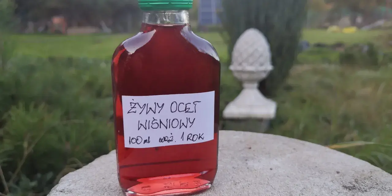 Butelka żywego octu wiśniowego, 100 ml, z zieloną zakrętką. W tle ogród. Ocet wiśniowy właściwości zdrowotne.