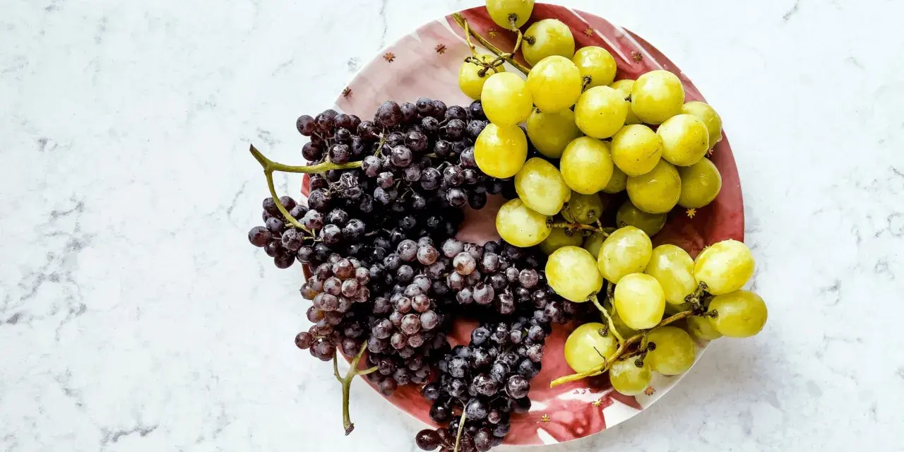 Zwei Trauben, dunkle und helle, liegen auf einem Teller. Sie sind ein Beweis dafür, wie gesund weintrauben sind.
