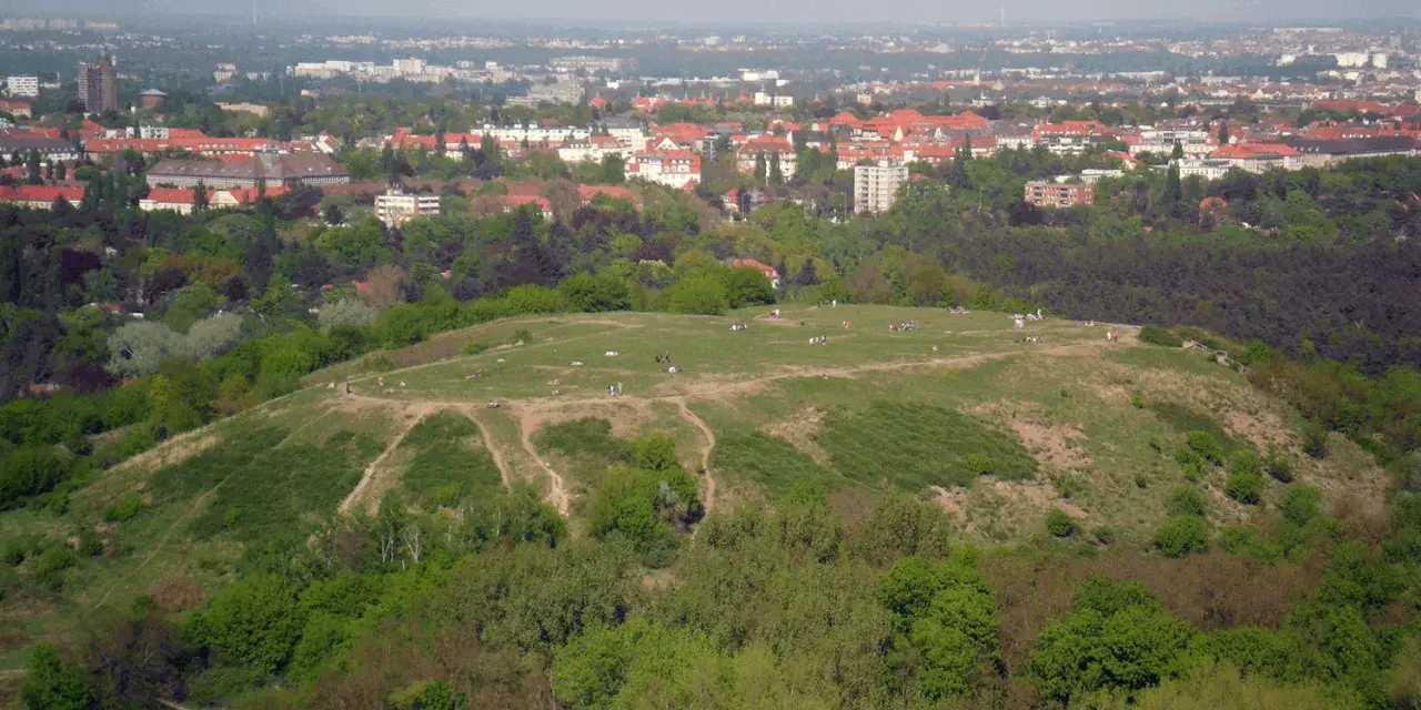 Blick vom Aussichtspunkt Drachenberg auf eine grüne Hügellandschaft mit Spaziergängern und der Stadt im Hintergrund.
