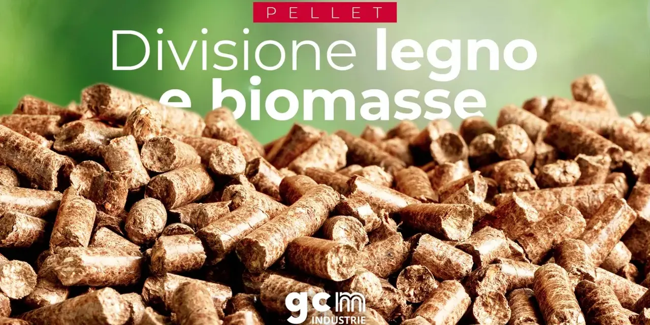 Un primo piano di pellet di legno, che mostra come è fatto questo combustibile ecologico.