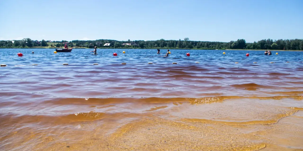 Słoneczny dzień nad zalewem. Ludzie kąpią się, pływają łódką, a czerwone i żółte boje wyznaczają bezpieczną strefę.