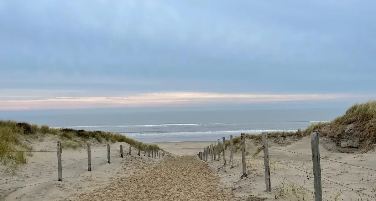 Spiagge Amsterdam: Guida alle Mete Vicine (Zandvoort, Scheveningen)